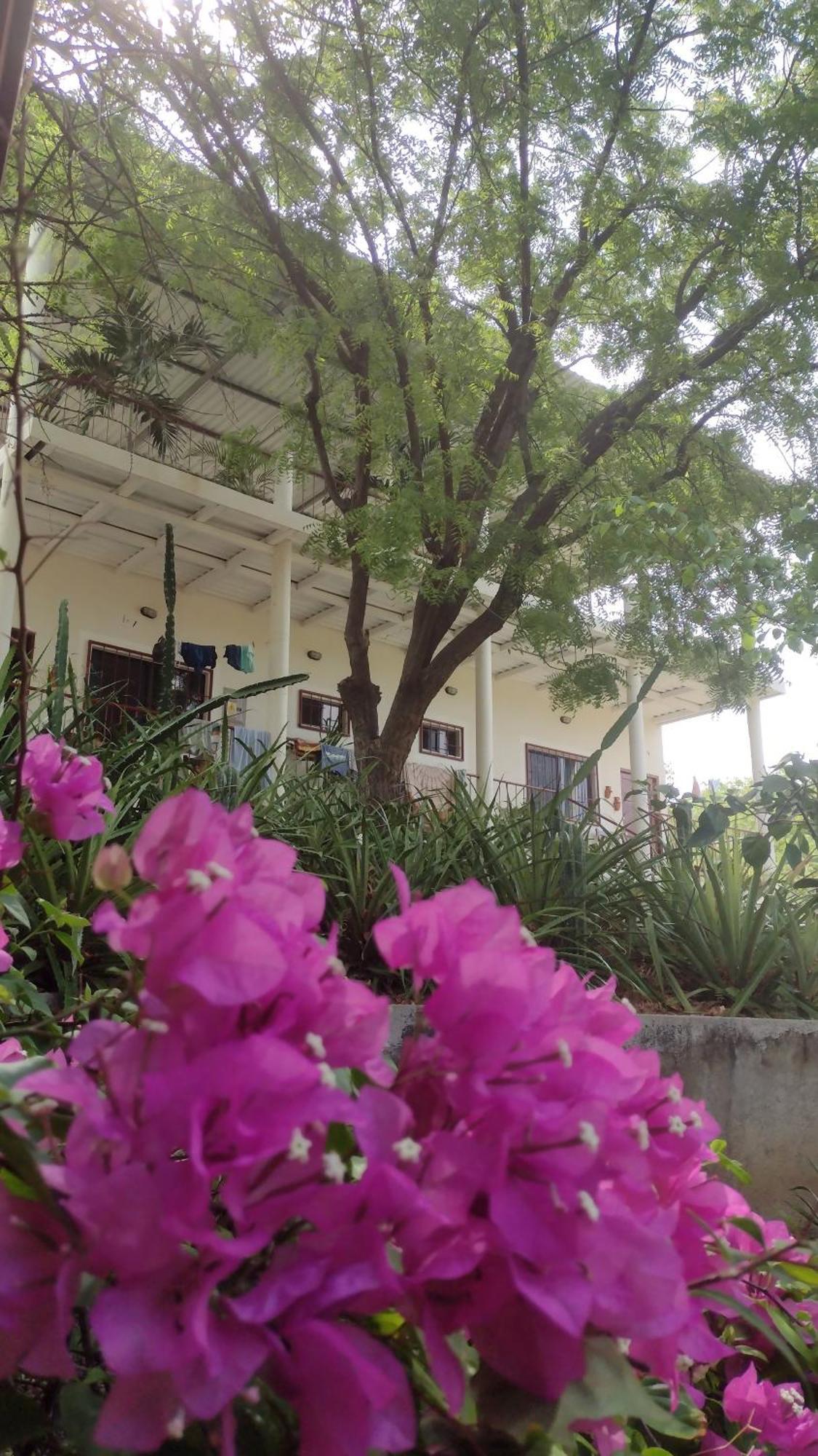 Casa Todo Bueno Bed & Breakfast Transito Luaran gambar
